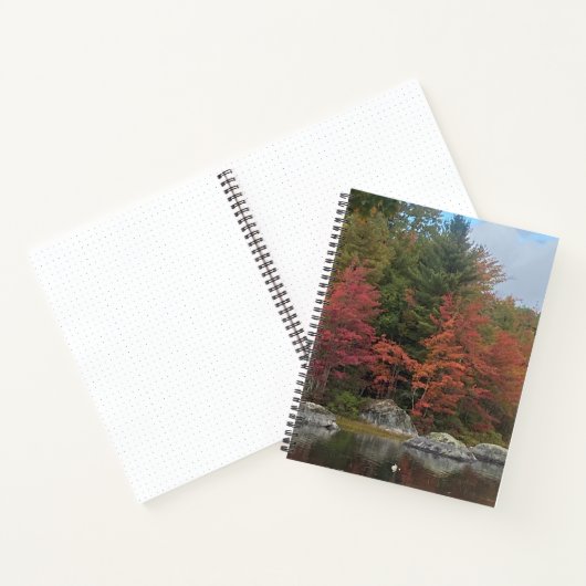 Autumn Reflections Journal (Intérieur)