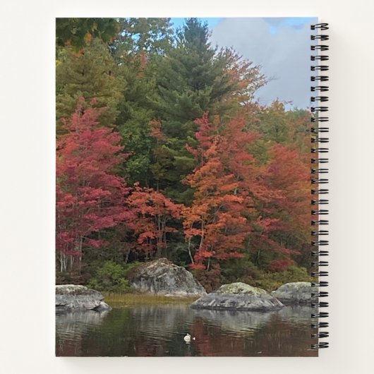 Autumn Reflections Journal (Dos)
