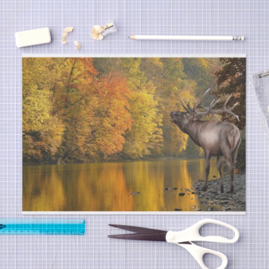 Autumn River Elk Tissuepapier (Craft)