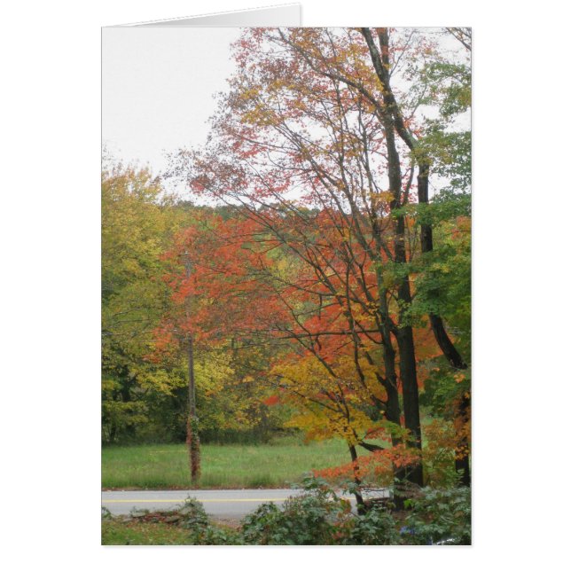 Autumn Road 2 (Voorkant)