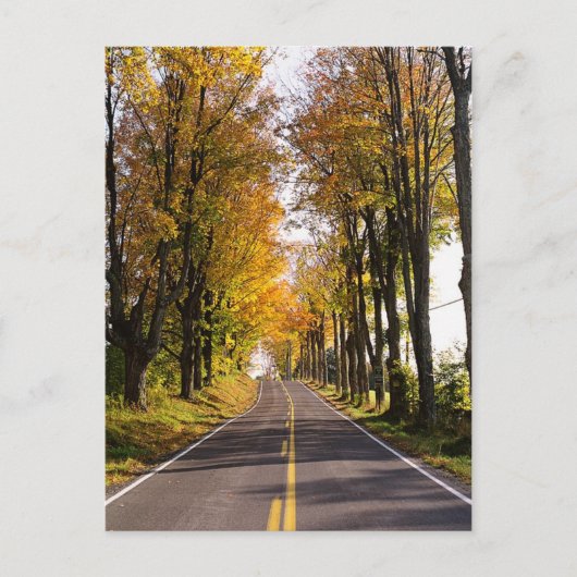 Autumn Road Briefkaart (Voorkant)