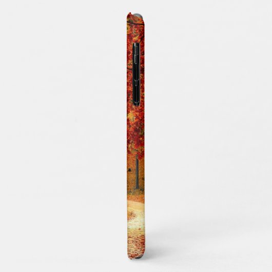 Autumn Road Case-Mate iPhone Case (Achterkant/links)