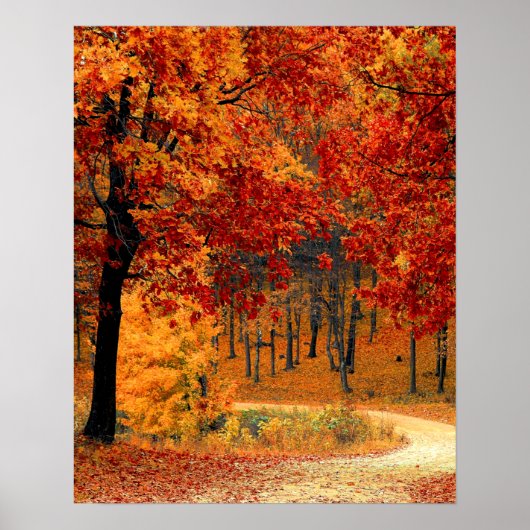 Autumn Road Poster (Voorkant)
