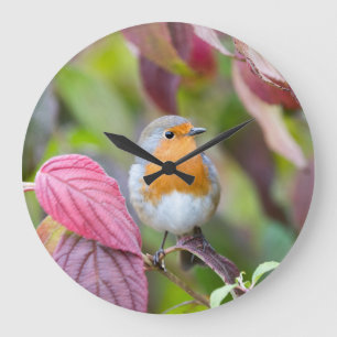 Autumn Robin Clock met rode bladeren in de herfst Grote Klok