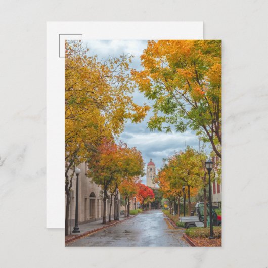 Autumn Scene at Stanford University Campus Briefkaart (Voorkant / Achterkant)