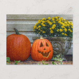 Autumn Scene Post Kaart