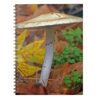 Autumn Sentinel: The Wild staat alleen Notitieboek