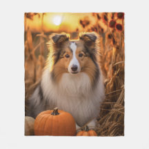 Autumn Sheltie