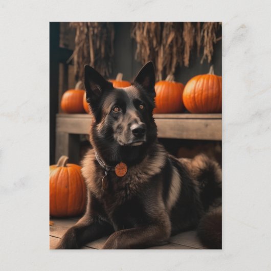 Autumn Shepherd Briefkaart (Voorkant)