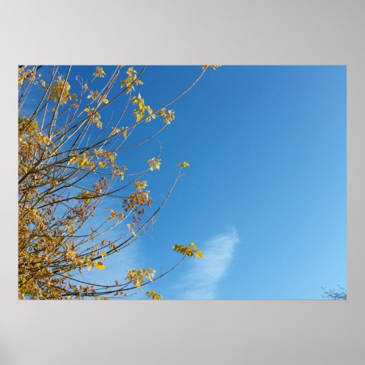 Autumn sky poster (Voorkant)