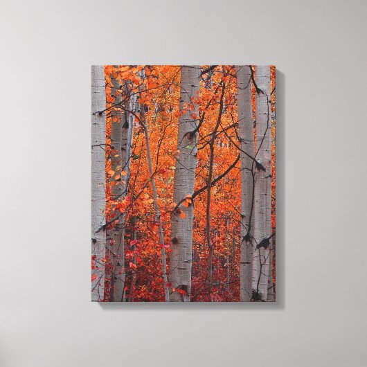 Autumn Splendor Canvas Afdruk (Voorkant)