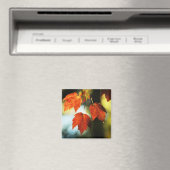 Autumn Splendor Magneet (Insitu (Vaatwasser))