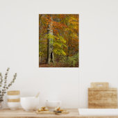 Autumn Splendor Poster (Keuken)