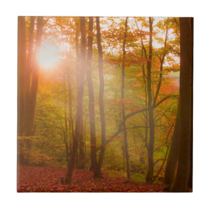 Autumn Splendor Tegeltje