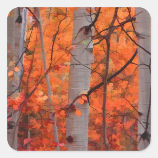 Autumn Splendor Vierkante Sticker
