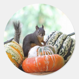 Autumn Squirrel Ronde Sticker