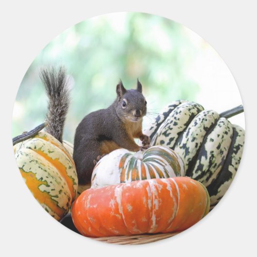 Autumn Squirrel Ronde Sticker (Voorkant)
