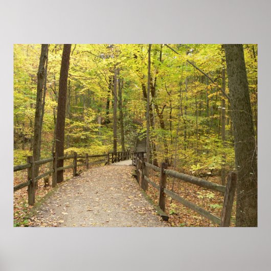 Autumn Stillness Poster (Voorkant)