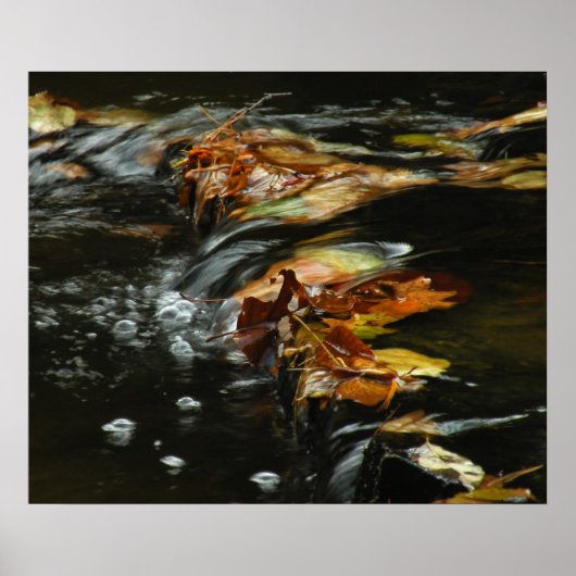 Autumn Stream Cascade Photo Poster (Voorkant)