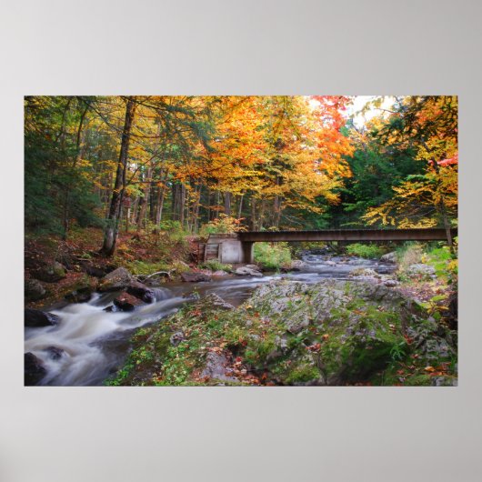 Autumn Stream Poster (Voorkant)
