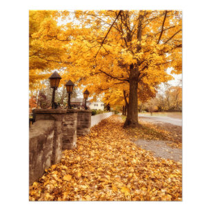 Autumn Street Scene Gele bladeren Foto Afdruk