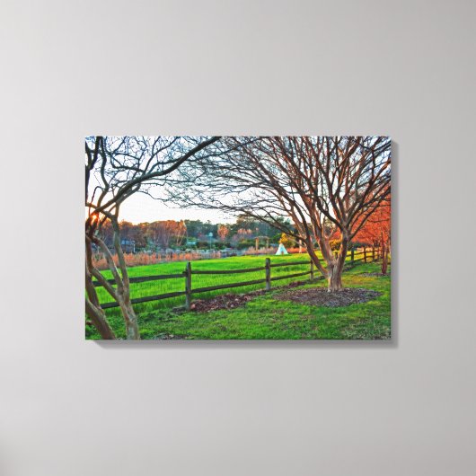 Autumn Sunset by Shirley Taylor Canvas Afdruk (Voorkant)