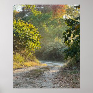 Autumn Trail Foto Poster