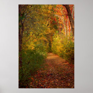 Autumn Trail Print