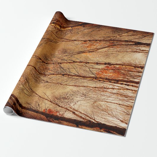 Autumn Trees  Bruin Oranje bos Cadeaupapier (Uitgerold)