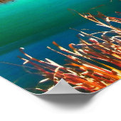 Autumn Trees en Marshland Newfoundland Canada Poster (Hoek)