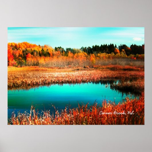 Autumn Trees en Marshland Newfoundland Canada Poster (Voorkant)