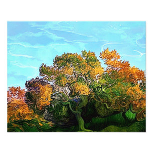 AUTUMN TREES FOTO AFDRUK