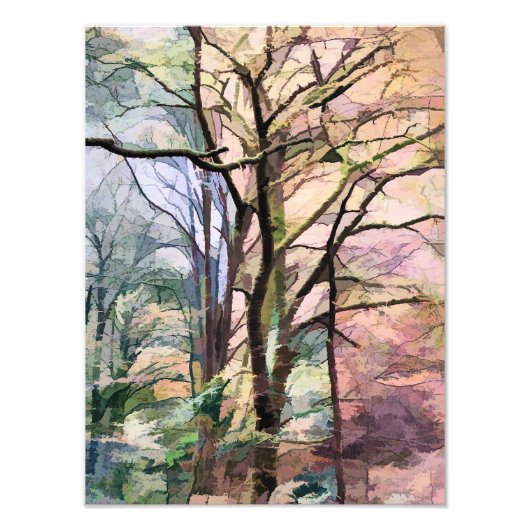 AUTUMN TREES FOTO AFDRUK (Voorkant)