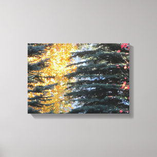 Autumn Trees in Whistler, B.C. Canvas Afdruk