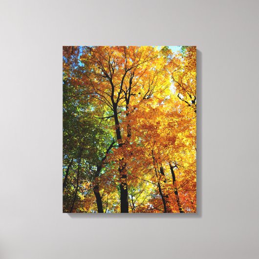 Autumn Trees Stretched Canvas Print (Voorkant)