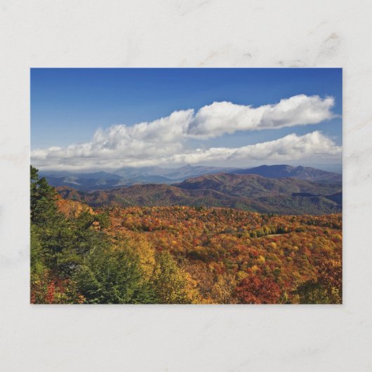 Autumn uitzicht Zuid-Appalachian Mountains Briefkaart (Voorkant)