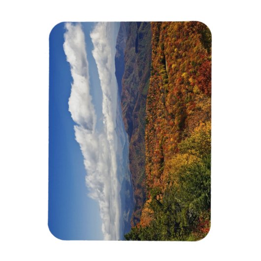 Autumn uitzicht Zuid-Appalachian Mountains Magneet (Verticaal)