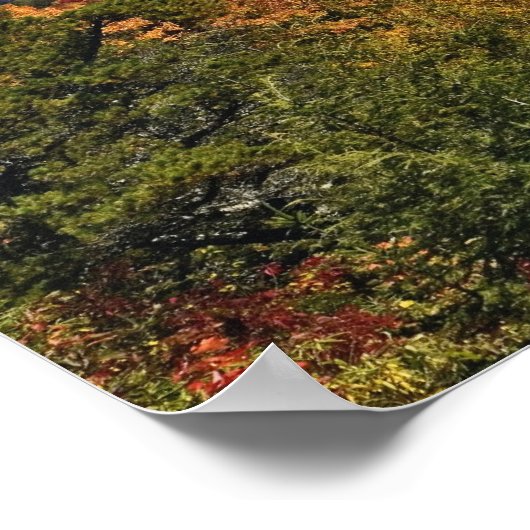 Autumn uitzicht Zuid-Appalachian Mountains Poster (Hoek)