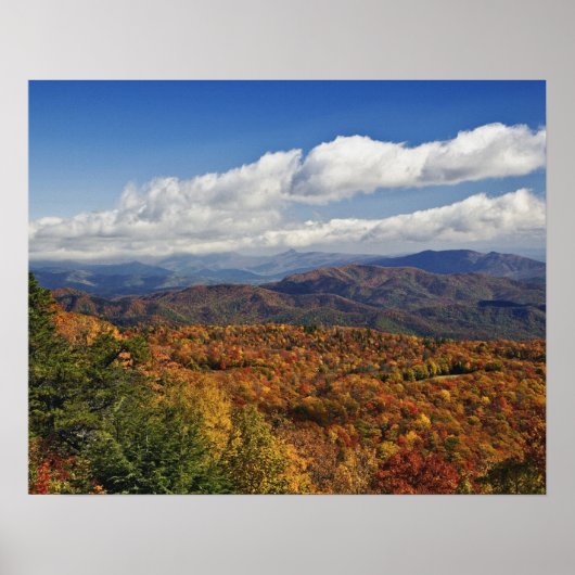 Autumn uitzicht Zuid-Appalachian Mountains Poster (Voorkant)