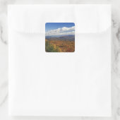 Autumn uitzicht Zuid-Appalachian Mountains Vierkante Sticker (Tas)