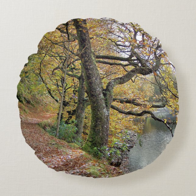 AUTUMN VAN DE REKENKAMER ROND KUSSEN (Voorkant)