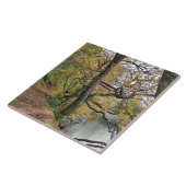 AUTUMN VAN DE REKENKAMER TEGELTJE (Zijkant)