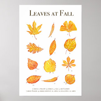 Autumn verlaat collectie waterverf poster