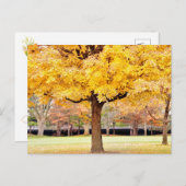 Autumn Vibes Briefkaart (Voorkant / Achterkant)