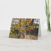 Autumn Vine Tangle & Berries "Ahh" Kaart (Voorkant)