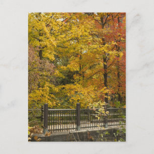 Autumn Vine Wedding Briefkaart