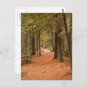 Autumn Walk Briefkaart (Voorkant / Achterkant)