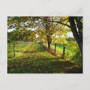 Autumn Walk Briefkaart