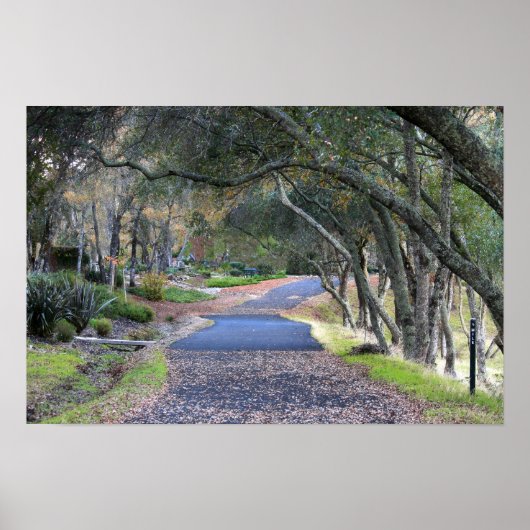 "Autumn Walk" Poster (Voorkant)