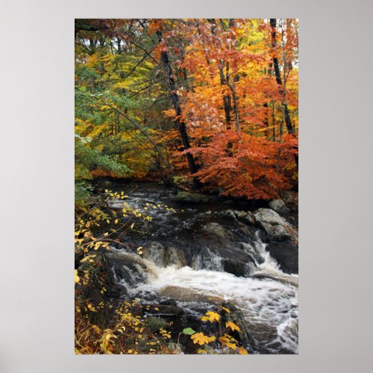 Autumn Waterfall Poster (Voorkant)